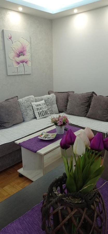Apartman Harmonija Vrnjačka Banja Dış mekan fotoğraf
