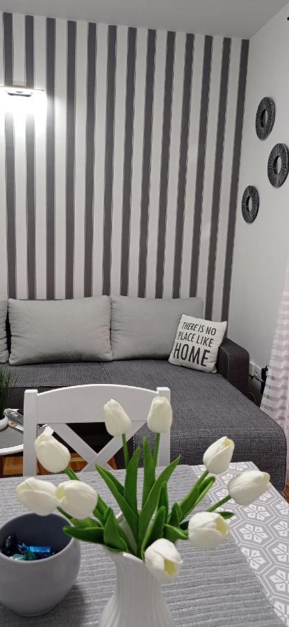 Apartman Harmonija Vrnjačka Banja Oda fotoğraf